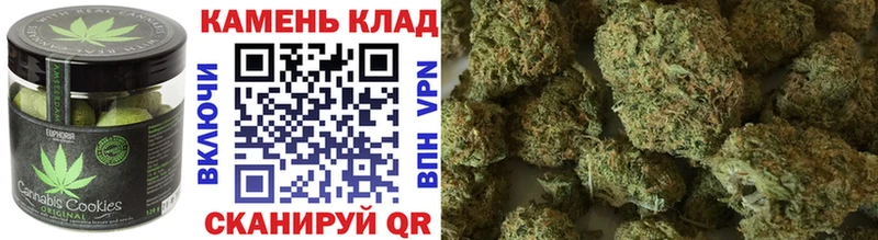 магазин  наркотиков  кракен   Cannafood конопля  Змеиногорск 