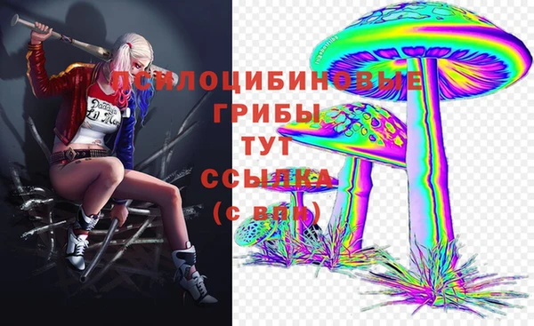 амф Зеленодольск