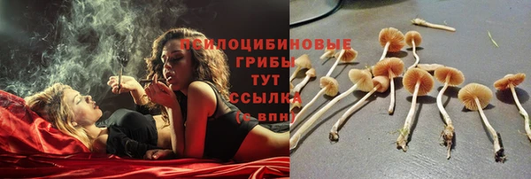 спайс Белая Холуница
